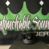 Untouchable Sounds Prince Series subwoofer
